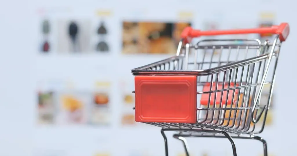 Explode online sales with this foolproof method for creating a successful professional store!